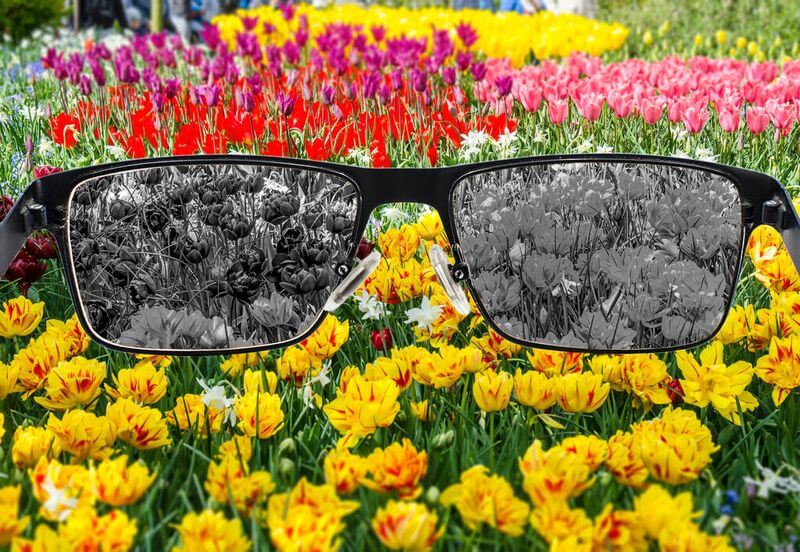 A színtévesztő szemüveg használata segít a színek megkülönböztetésében